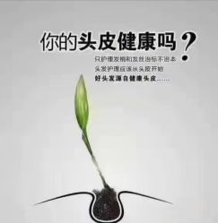 点击看大图 -Bollins波林丝•专研护发中心