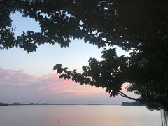 -漕湖湿地公园