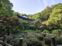 -十八棵（老龙井）御茶园(老龙井店)