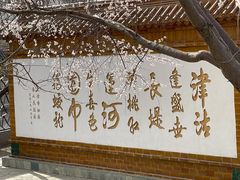 -桃花堤公园