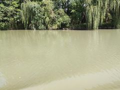 -白塔湖国家湿地公园