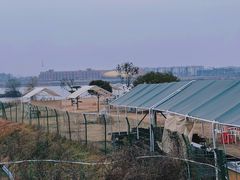 -梁子湖东篱老屋生态庄园
