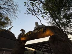 -清迈夜间动物园