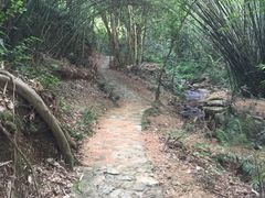 -滴水岩森林公园