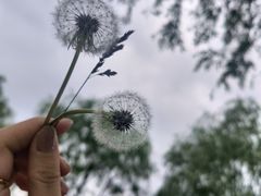 -万达广场(龙湖店)