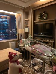 点击看大图 -巍阁高端月子会所