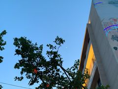 -青岛德国总督楼旧址博物馆