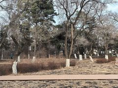 -长春市南湖公园