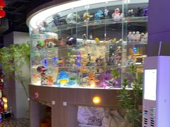 -皇室假期美食水疗会(春风路店)