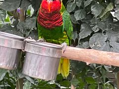 -南宫五洲植物乐园