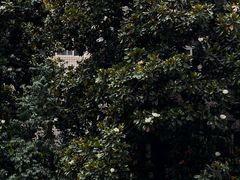 -唐城墙遗址公园