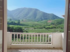-龙坞茶村