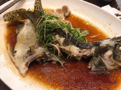 -大门水乡·顺德菜