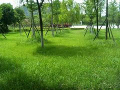 -成都中医药大学(温江校区)