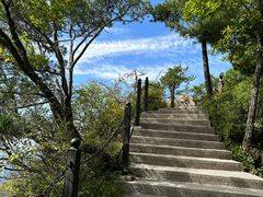 -王顺山国家森林公园