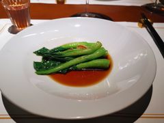 -觀芷隐轩