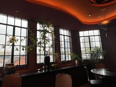 -滇野云南野生菌餐厅(陕西南路店)