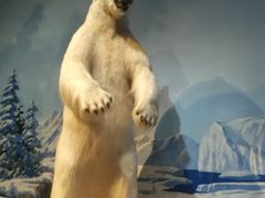 -陕西自然博物馆