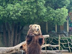 -常州淹城野生动物世界