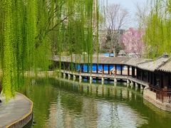 -团结湖公园