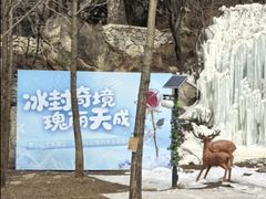 -秦岭终南山世界地质公园翠华山景区