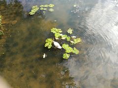 -呀诺达热带雨林