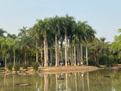 -中国科学院西双版纳热带植物园