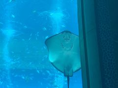 -亚龙湾海底世界
