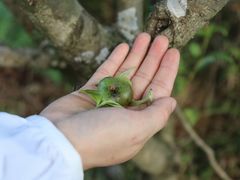 -汉艺唐风茶艺培训(联发华美空间店)