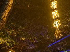 -印象普陀