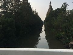 -上海长兴岛郊野公园