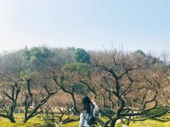 -白马涧龙池景区