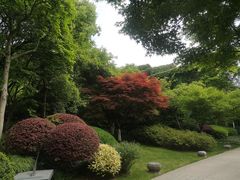 -中国茶叶博物馆(双峰馆区)