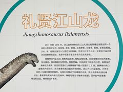 -衢州市博物馆