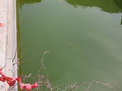 -圣莲山风景区