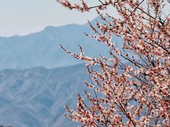 -妙峰山风景名胜区