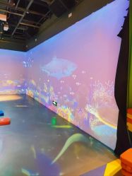 -小鸡哆哆故事屋·儿童乐园(嘉里城店)