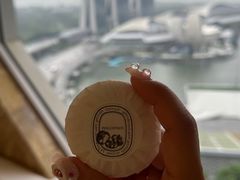 -新加坡丽思卡尔顿美年酒店