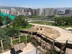 -青藏高原野生动物园