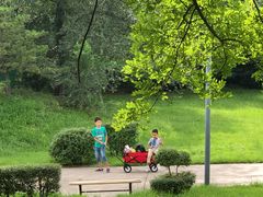 -奥林匹克森林公园南门-停车场