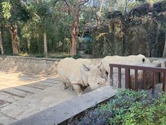 -杭州野生动物世界