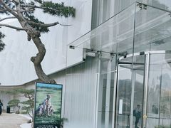 -罗红摄影艺术馆