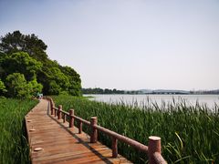-东湖落雁景区