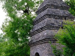 -广富林郊野公园