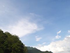 -广州市流溪河国家森林公园
