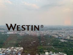 -广交会威斯汀酒店