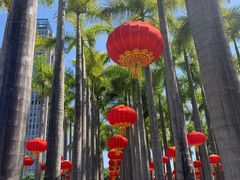 -深圳国际园林花卉博览园