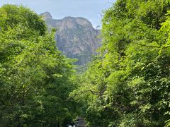 -云台山风景名胜区