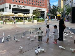 -中粮·祥云小镇