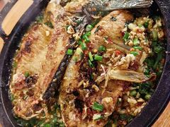 生煎铁板鲫鱼-聚鑫朋酸菜肥肠(文艺路口店)